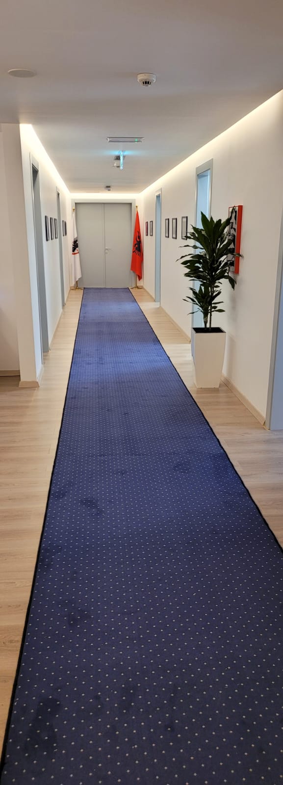 Moket për Hotel: Komoditet, Elegancë dhe Rezistencë për Çdo Ambient